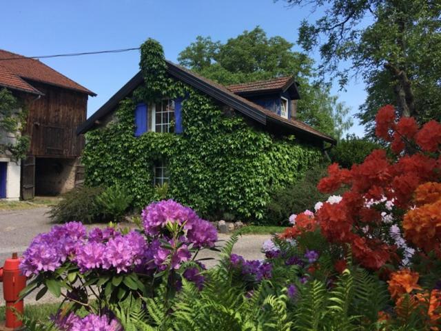 Gîte Dans Les Vosges Remiremont Exterior foto